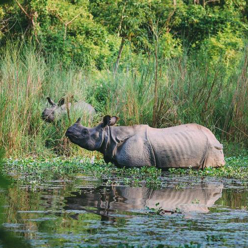 Nepal Holiday Tour Package From Gorakhpur